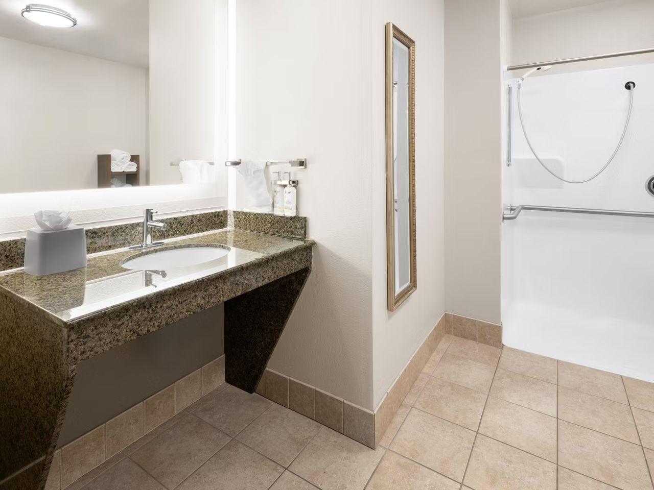 image Accessible bath with grab bars and roll-in shower.