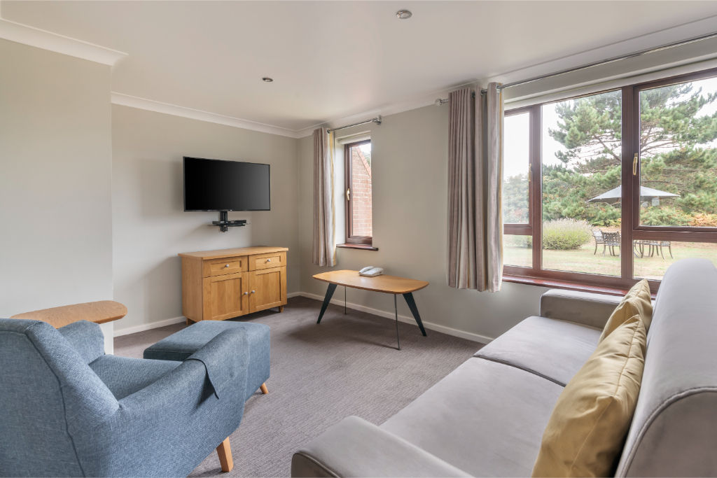 image Cozy living space with plush seating, perfect for relaxation or socializing.
