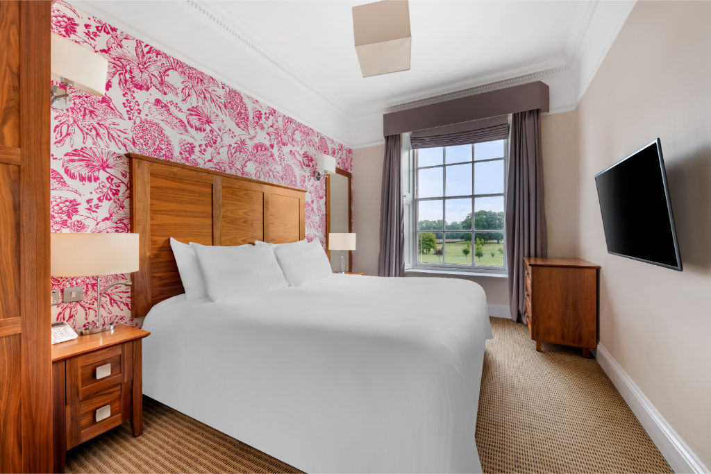 image A cozy bedroom space with a welcoming bed and vibrant accent wall.