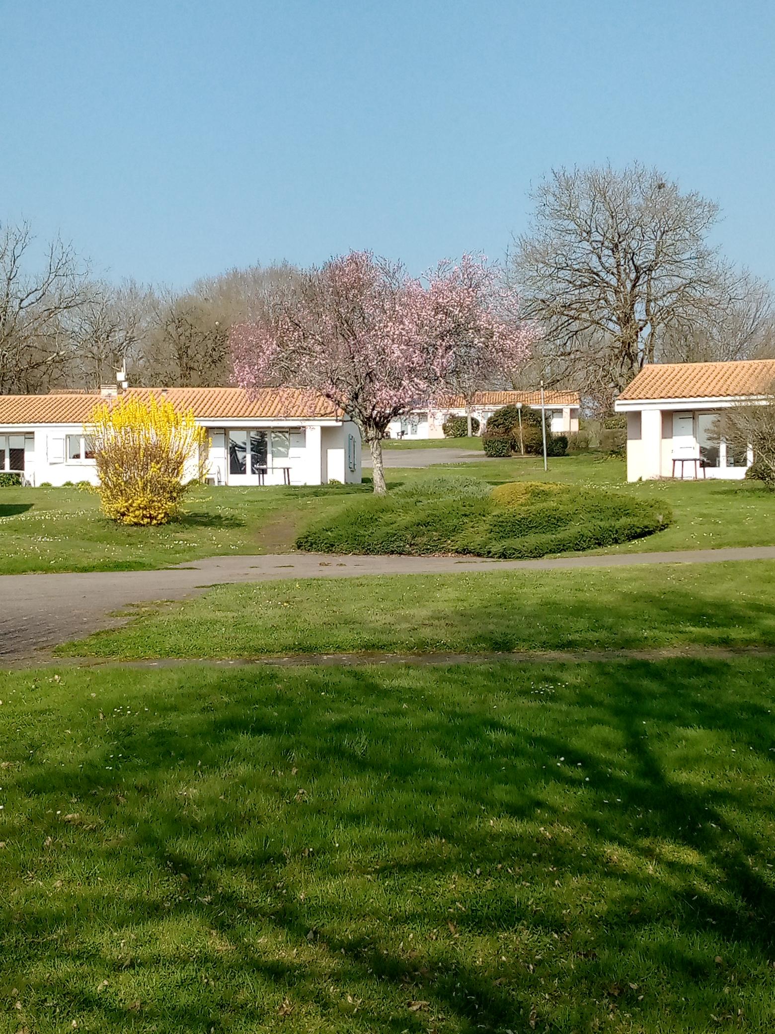 image Large lawns to play outdoors on.