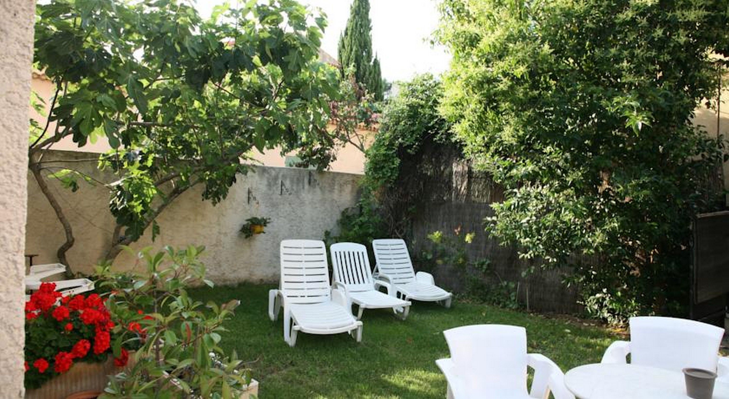 image Relax under the sun in our terrace