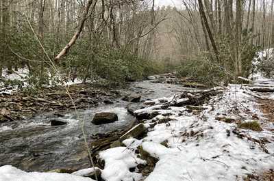 The pond is a few-minute walk away from the out property.