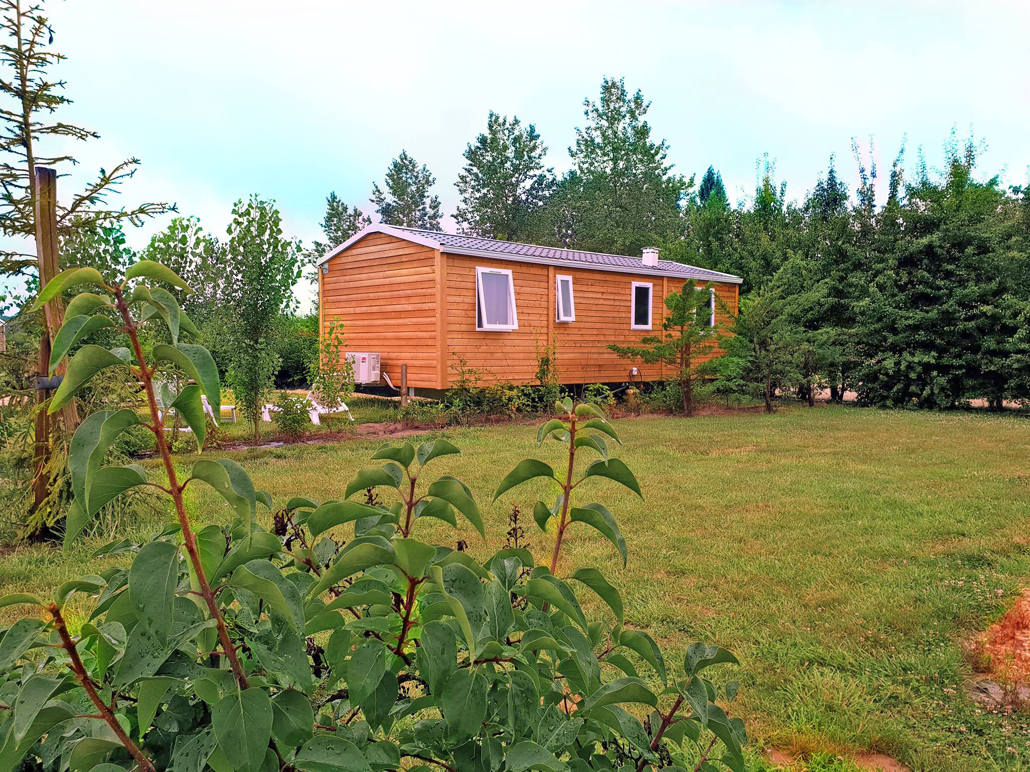 image Wake up to the serene views of the great outdoors