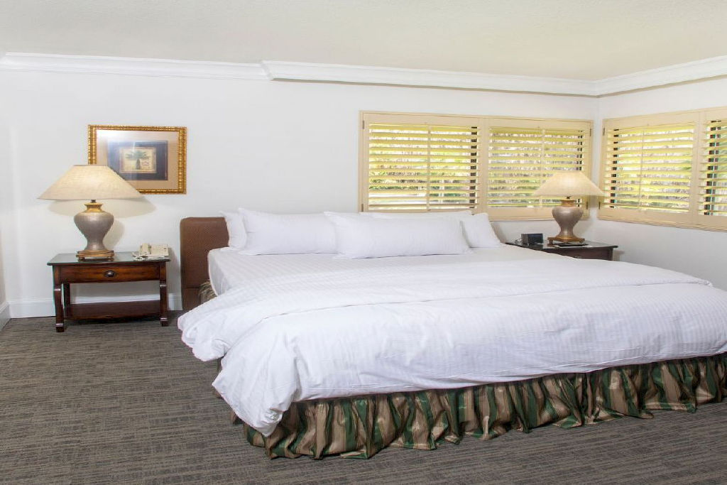image Dream away in this serene bedroom featuring plush bedding and soft natural tones.