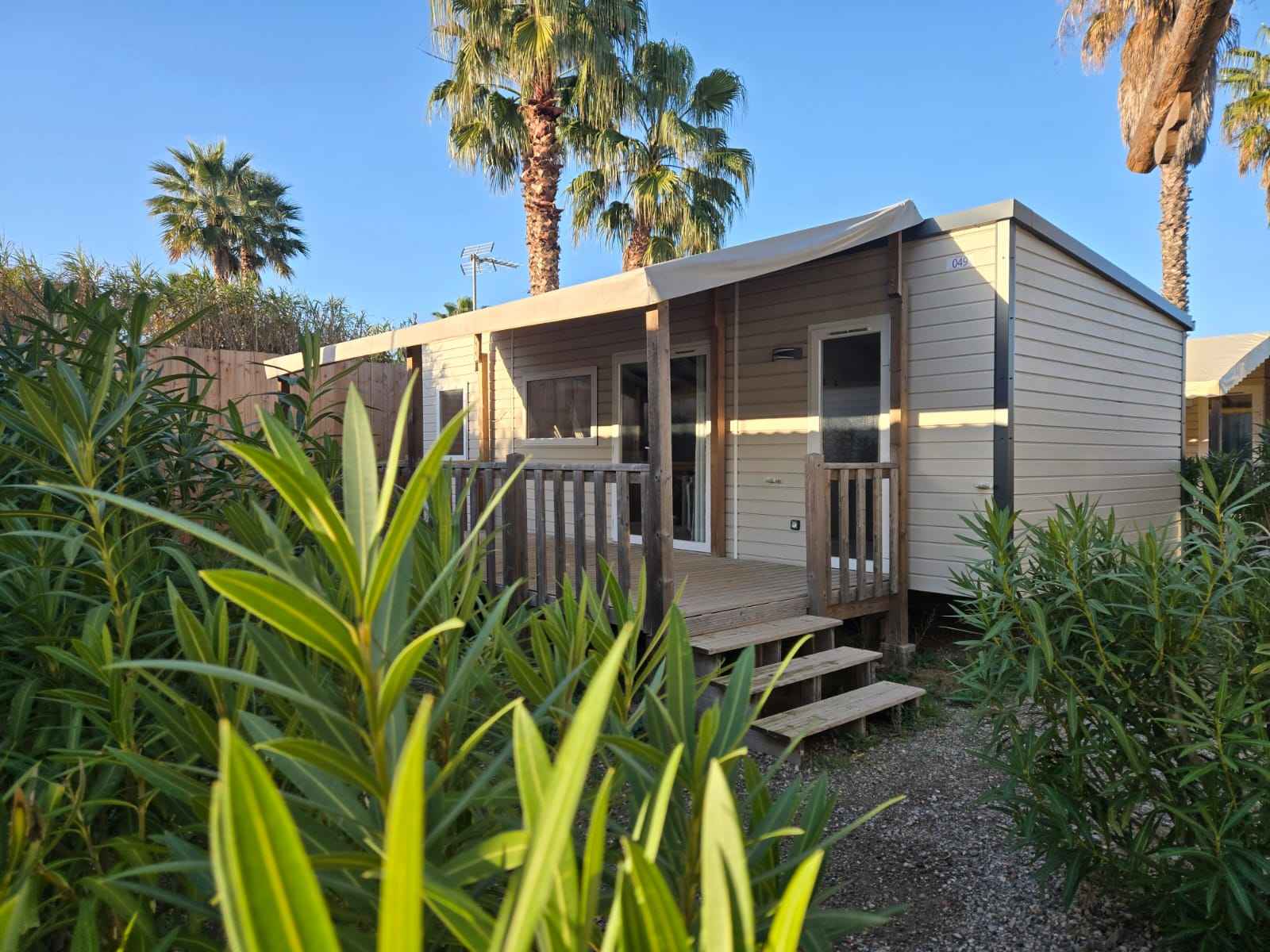 image Charming camping home surrounded by nature, offering a peaceful retreat in a wooded setting.