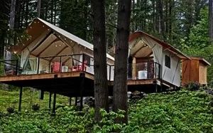 image A tranquil glamping retreat nestled in the forest, offering a seamless blend of comfort and natural beauty.