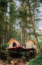 image Luxurious bath experience surrounded by serene forest views, perfect for unwinding.