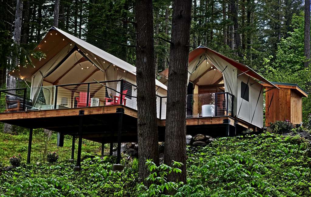 image A picturesque glamping tent nestled in the forest, providing a serene escape into nature.