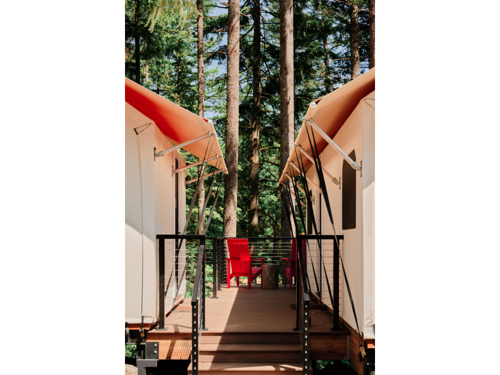 image A welcoming pathway leading to your elevated forest retreat, blending comfort with nature.