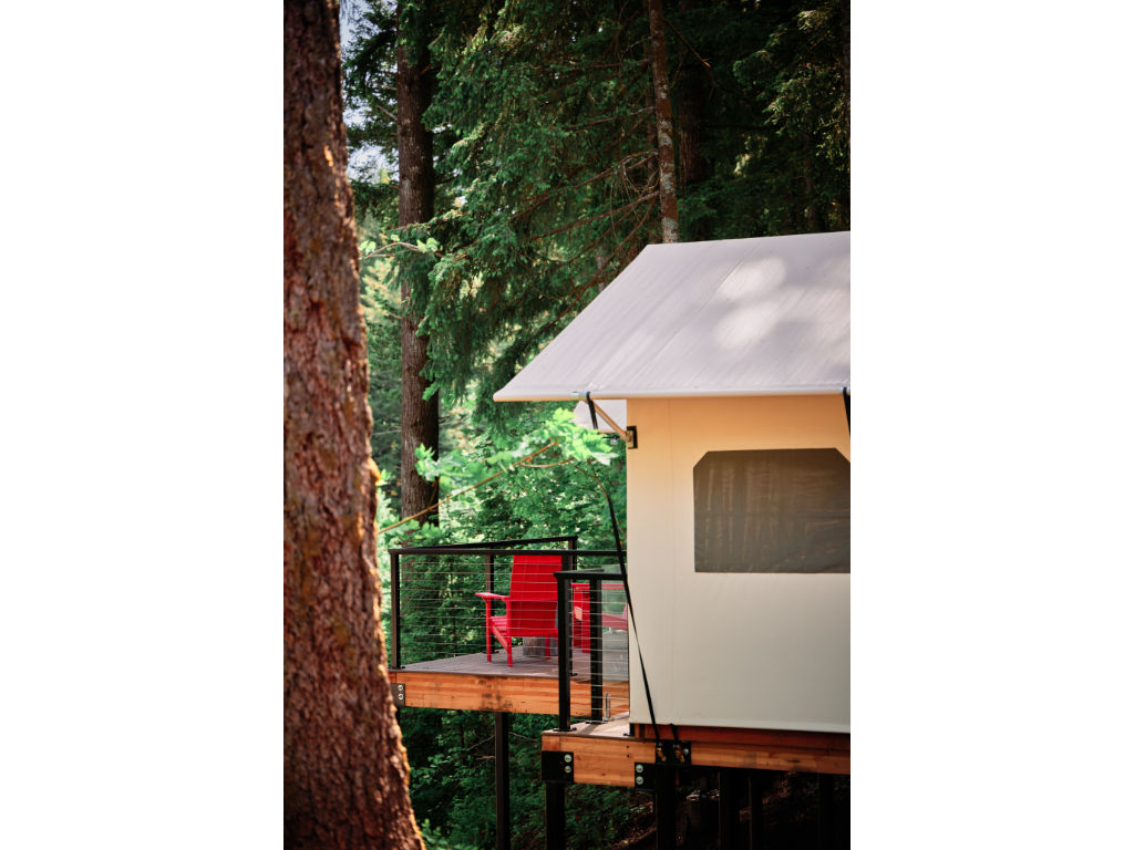 image A secluded glamping haven nestled amidst the forest, perfect for a serene getaway.