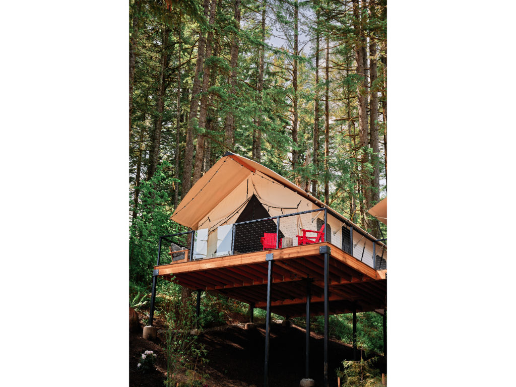 image A charming treetop tent surrounded by towering trees, offering a peaceful escape into nature.