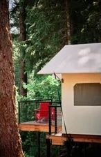 image A secluded glamping haven nestled amidst the forest, perfect for a serene getaway.