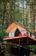 image A charming treetop tent surrounded by towering trees, offering a peaceful escape into nature.
