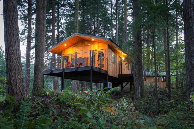 image Experience tranquility in a unique treehouse nestled among the towering trees.