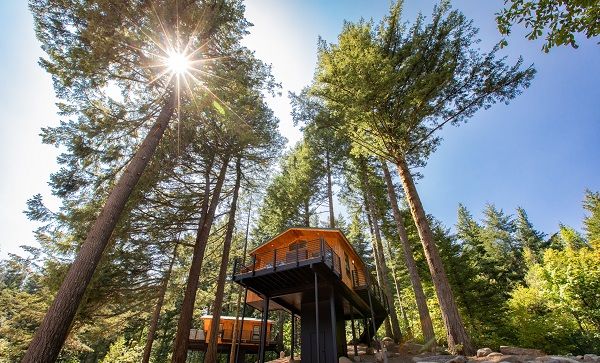image Retreat to a stunning treehouse hideaway, elevated among the forest canopy.