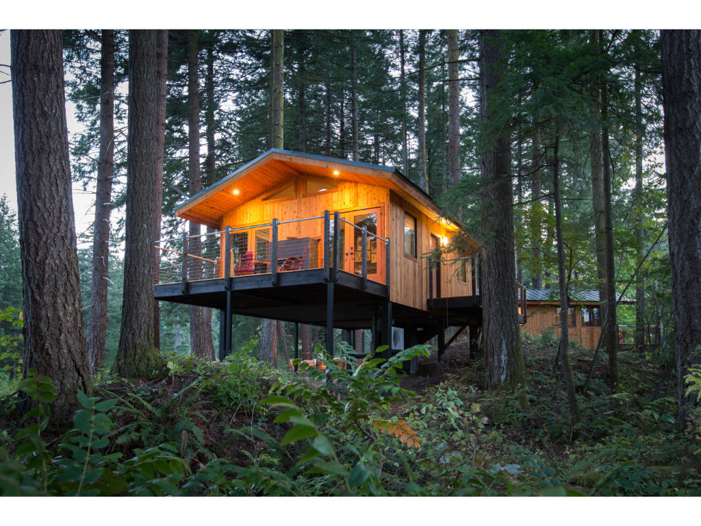 image Embrace the serenity of a magical treehouse, nestled in the heart of a lush forest.