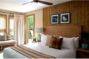 image Bright and cozy bedroom with modern decor and plenty of natural light.