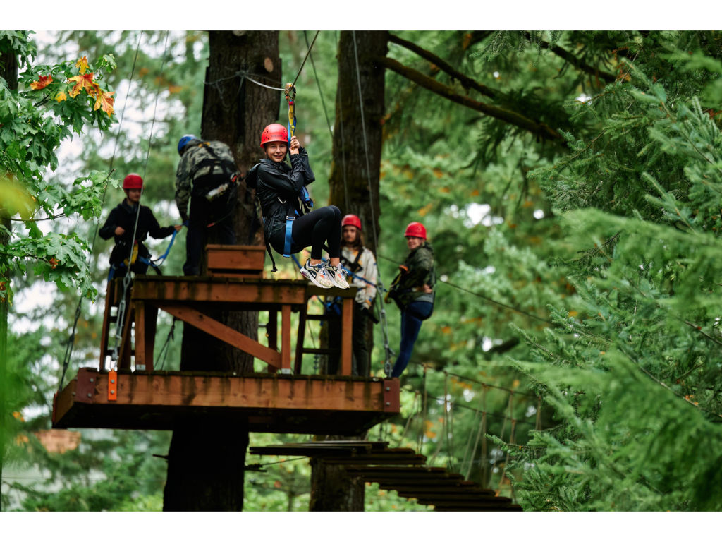image Explore the heights at the Aerial Park – perfect for adventure seekers looking for a unique forest experience.
