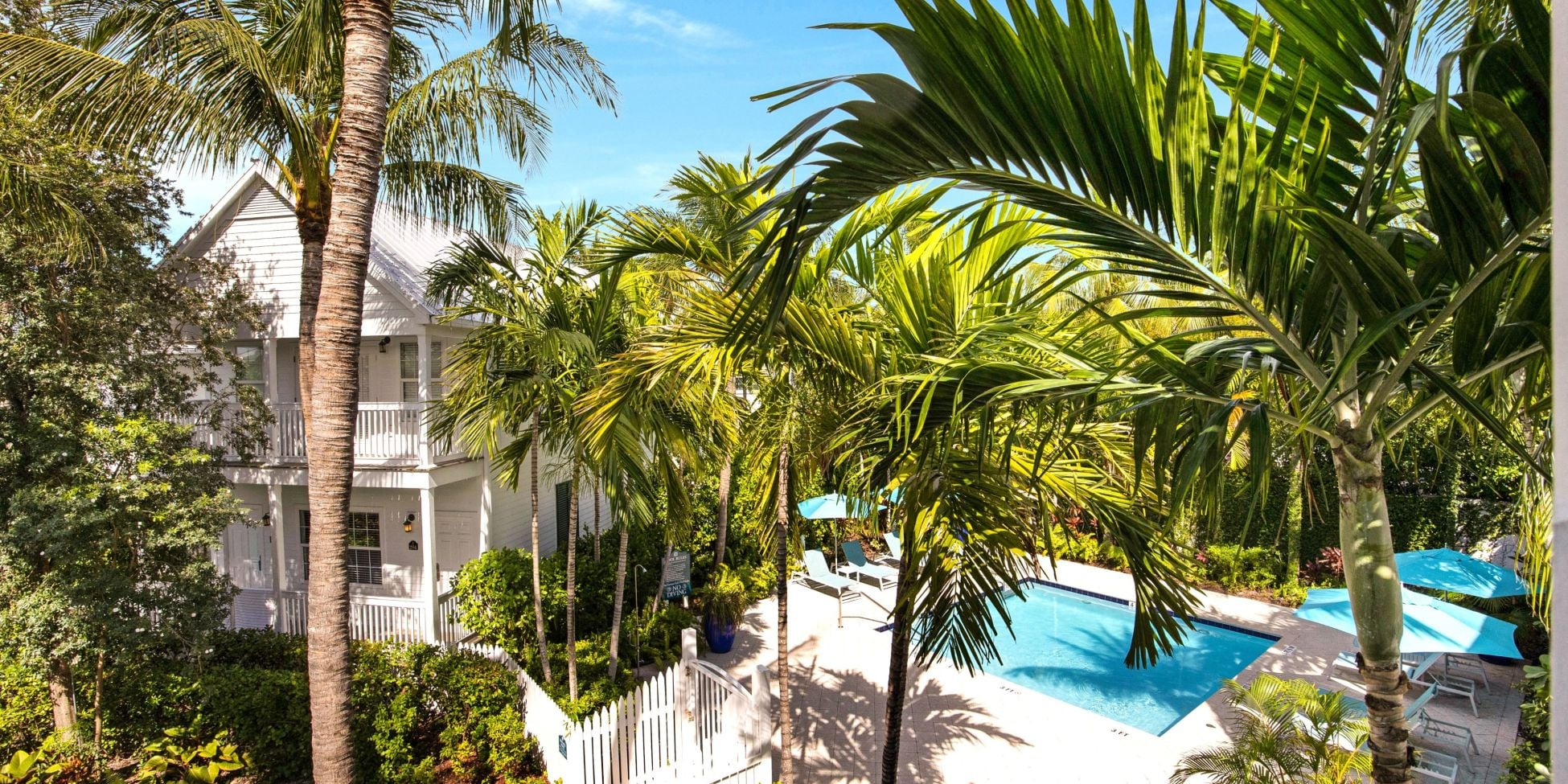 image Outdoor swimming pool with tropical garden and palm trees