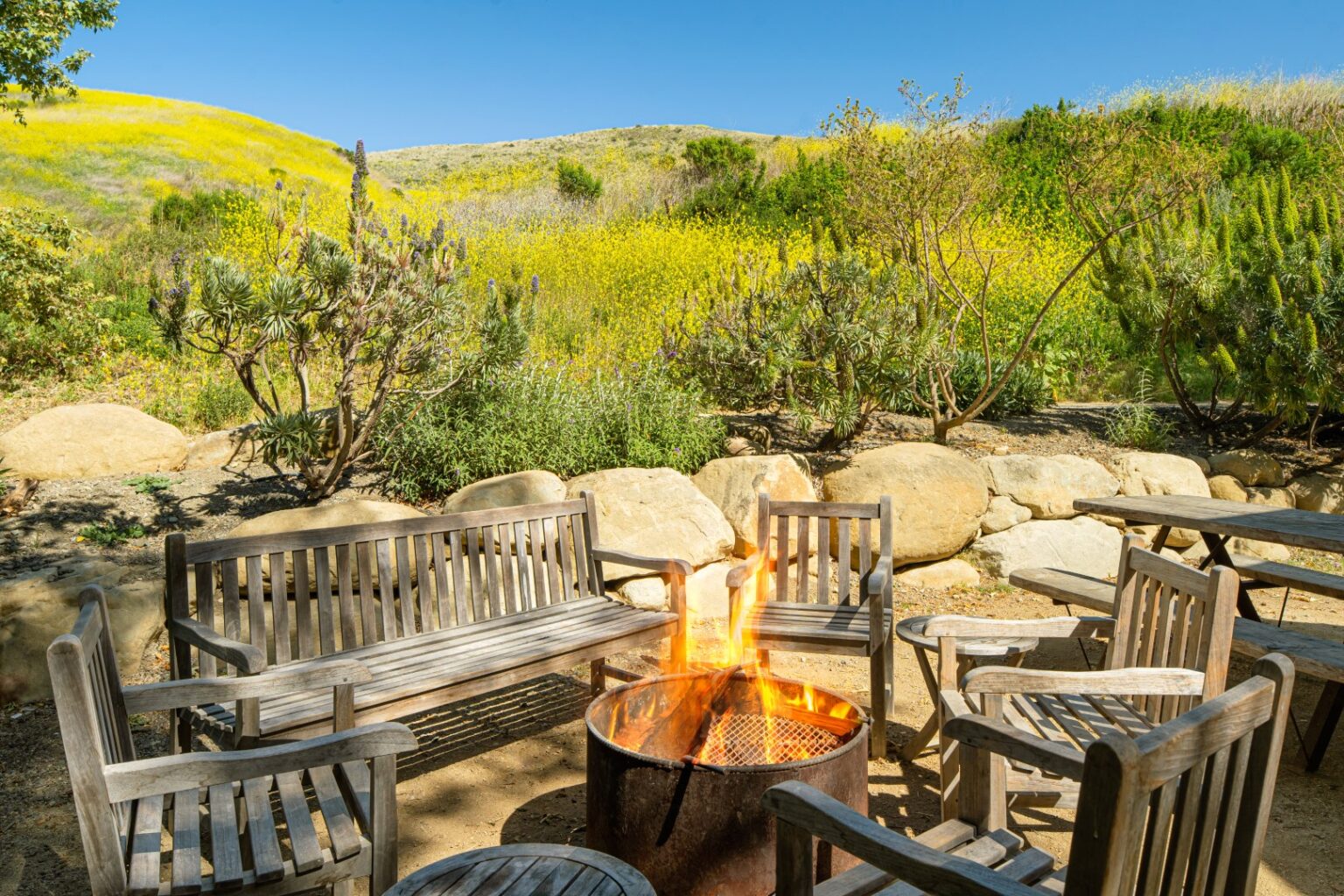 image Enjoy the warmth of a crackling fire surrounded by rolling hills and wildflowers, the ideal spot for stargazing and storytelling.