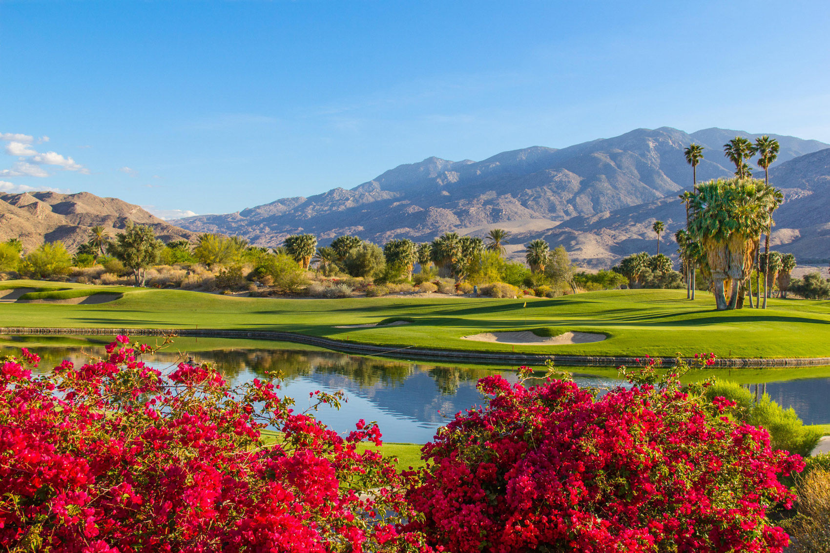 image Experience the beauty of Palm Springs with well-manicured golf courses and vibrant landscapes, ideal for outdoor enthusiasts and nature lovers alike.