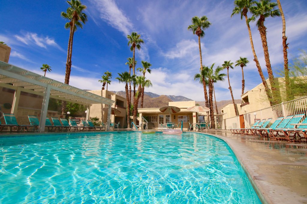 image Outdoor pool with lounge chairs, palm trees, and residential buildings