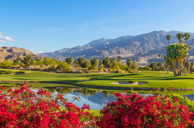 Enjoy Palm Springs desert beauty with vibrant flowers, lush greenery, and mountain views—perfect for nature lovers and golfers alike.