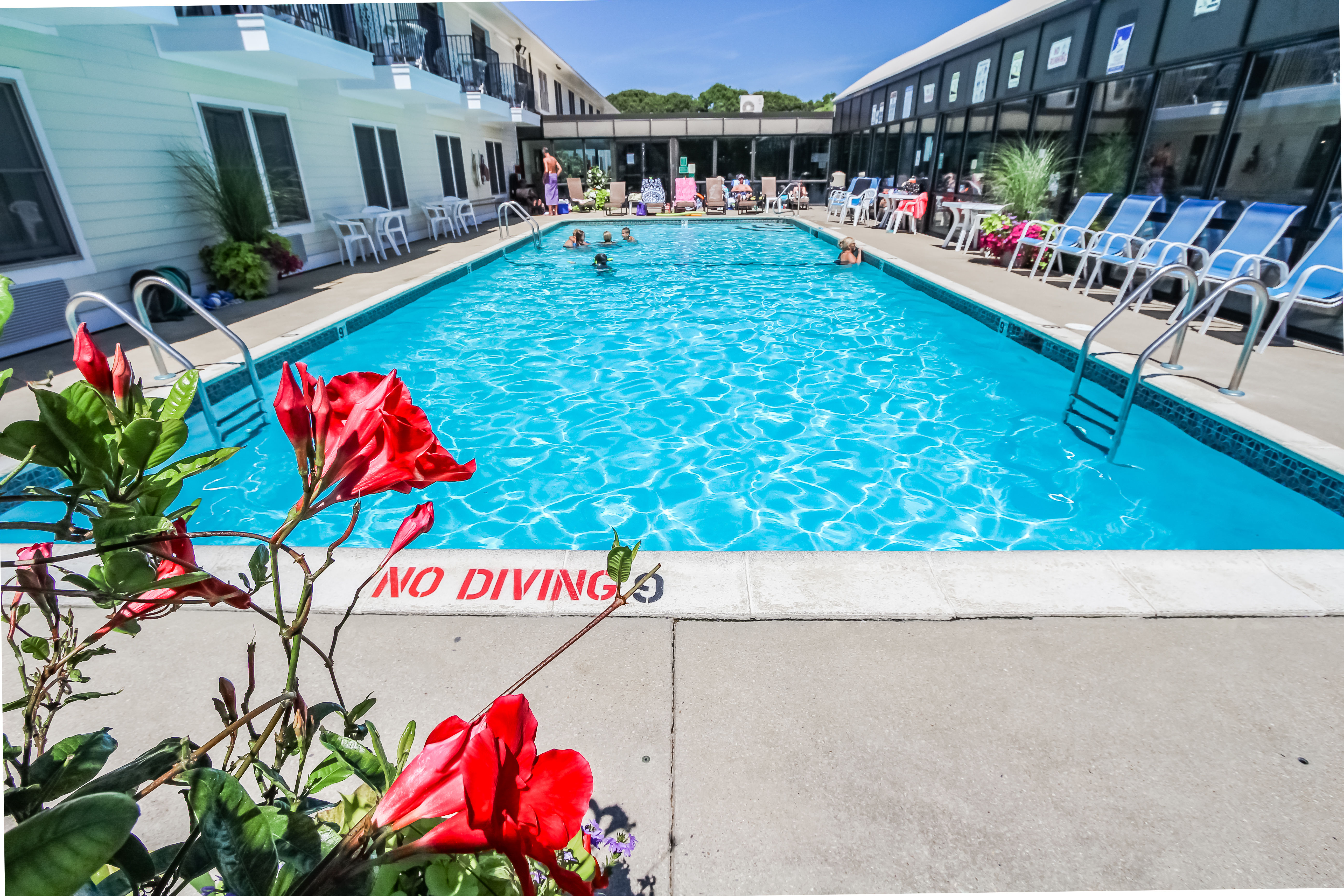 image Enjoy a refreshing swim in the outdoor pool, surrounded by vibrant flowers and loungers, perfect for relaxing under the sun.
