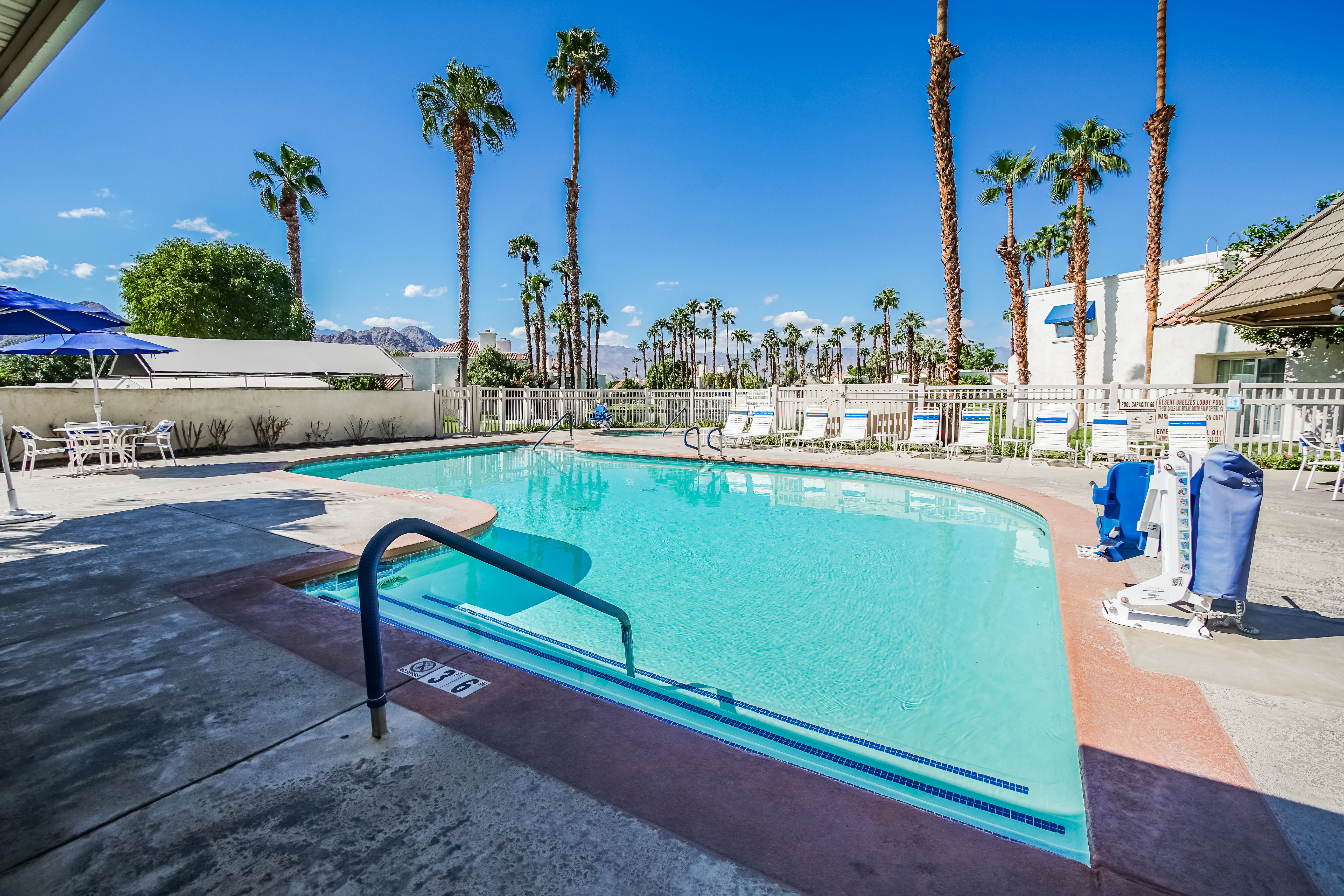 image Heated outdoor pool with palm trees and desert backdrops—ideal for sun-soaked relaxation.