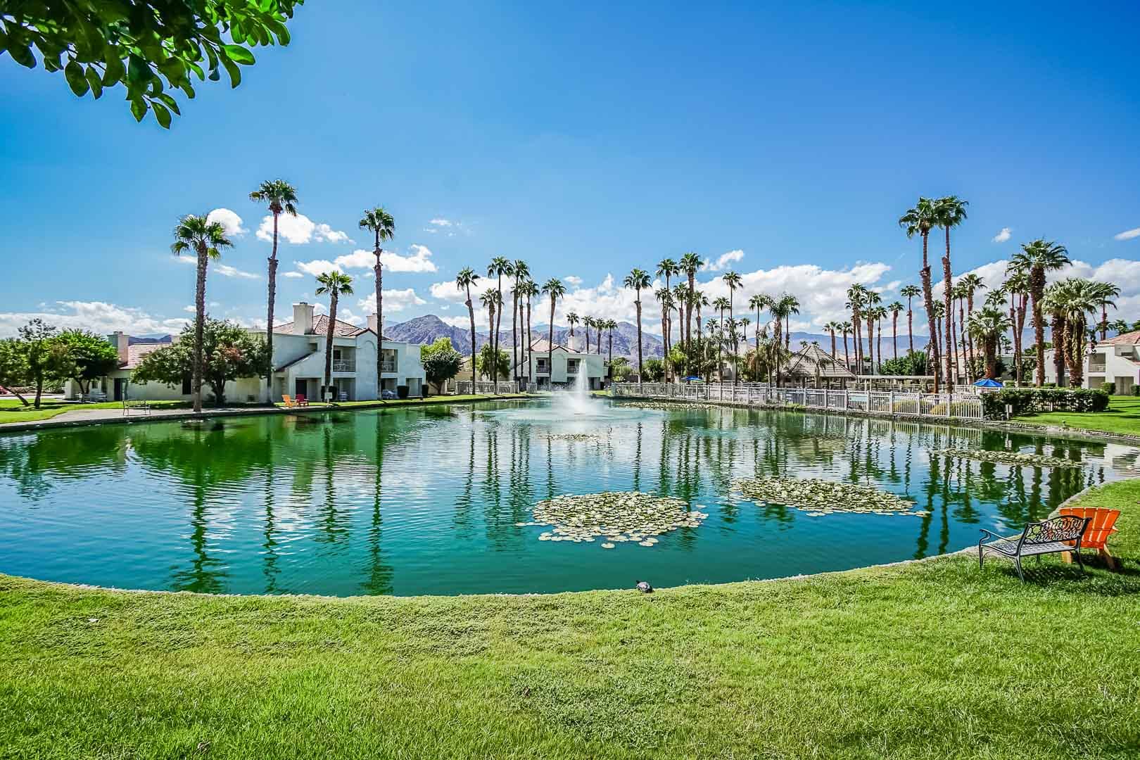 image Palm trees surround a tranquil pond with a fountain and mountain backdrop