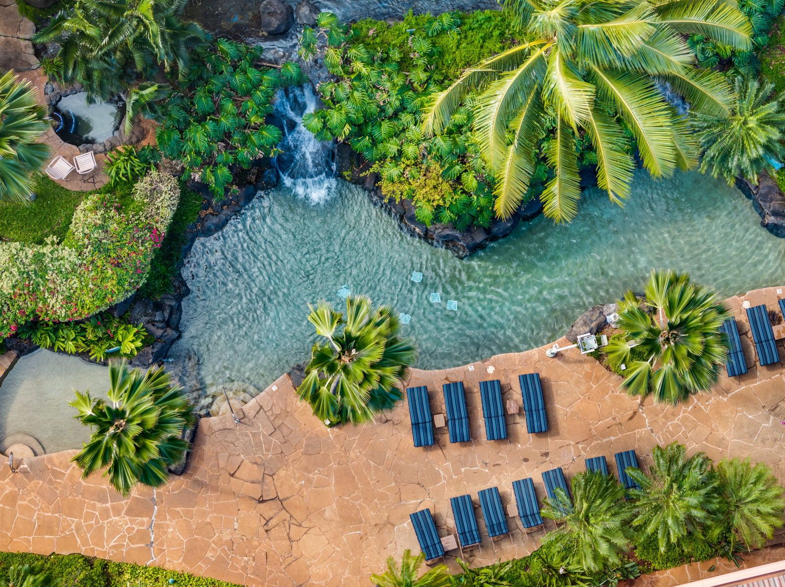 image Aerial view of the pool and surrounding tropical paradise
