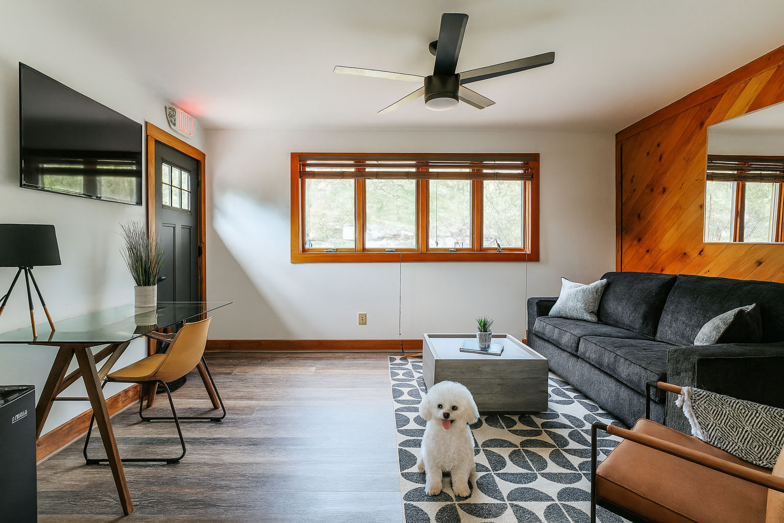 image “Bright, modern living space where your pup can relax right alongside you.