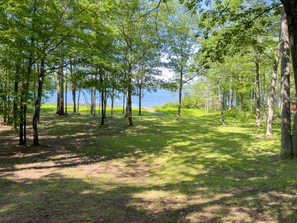 image Shaded wooded backyard with a clear path leading to the lake, ideal for quiet morning walks or lakeside picnics.