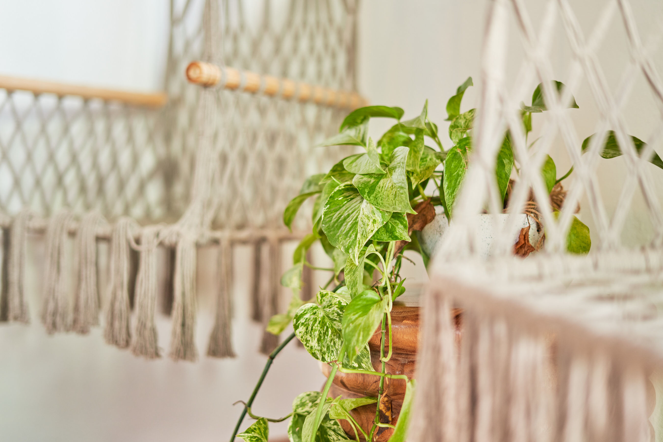 image Handcrafted macramé details add artisanal charm to the serene lounging space.