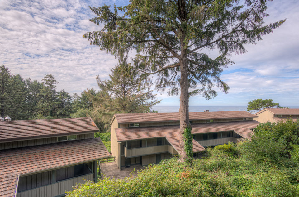 image Surrounded by lush greenery, this picturesque view from the balcony showcases the tranquil setting of The Inn at Otter Crest, inviting guests to enjoy the beauty of the natural landscape.