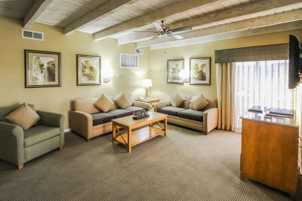 image The cozy living area features plush seating, tasteful decor, and abundant natural light, creating a welcoming atmosphere for relaxation or entertaining.