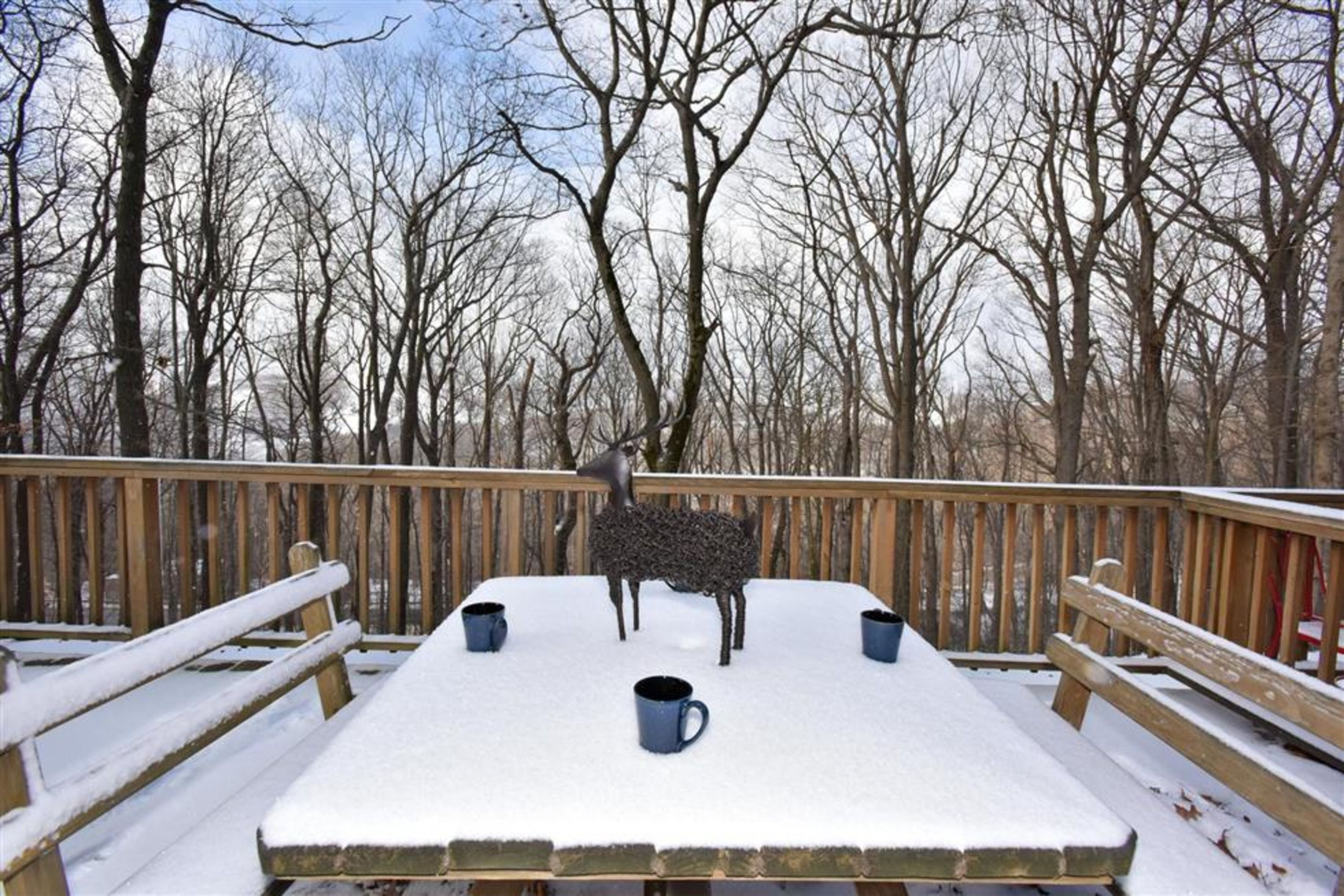 image Enjoy the tranquil ambiance from the deck, furnished with a snow-dusted table and charming decor, surrounded by winter scenery.