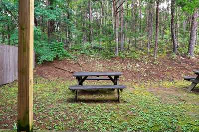 Grill, picnic, and unwind in this secluded outdoor nook tucked among the trees.