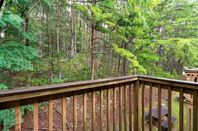 Step out onto your private balcony and breathe in the peaceful Smoky Mountain air.