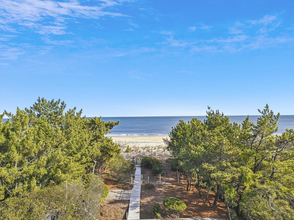 image A picturesque pathway winds through greenery, leading directly to the sandy shore and the peaceful sea.