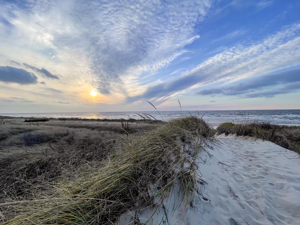 image Bask in breathtaking ocean views and golden sunsets less than 2 blocks from your beach house, where memories are made amidst the soothing sounds of the surf.