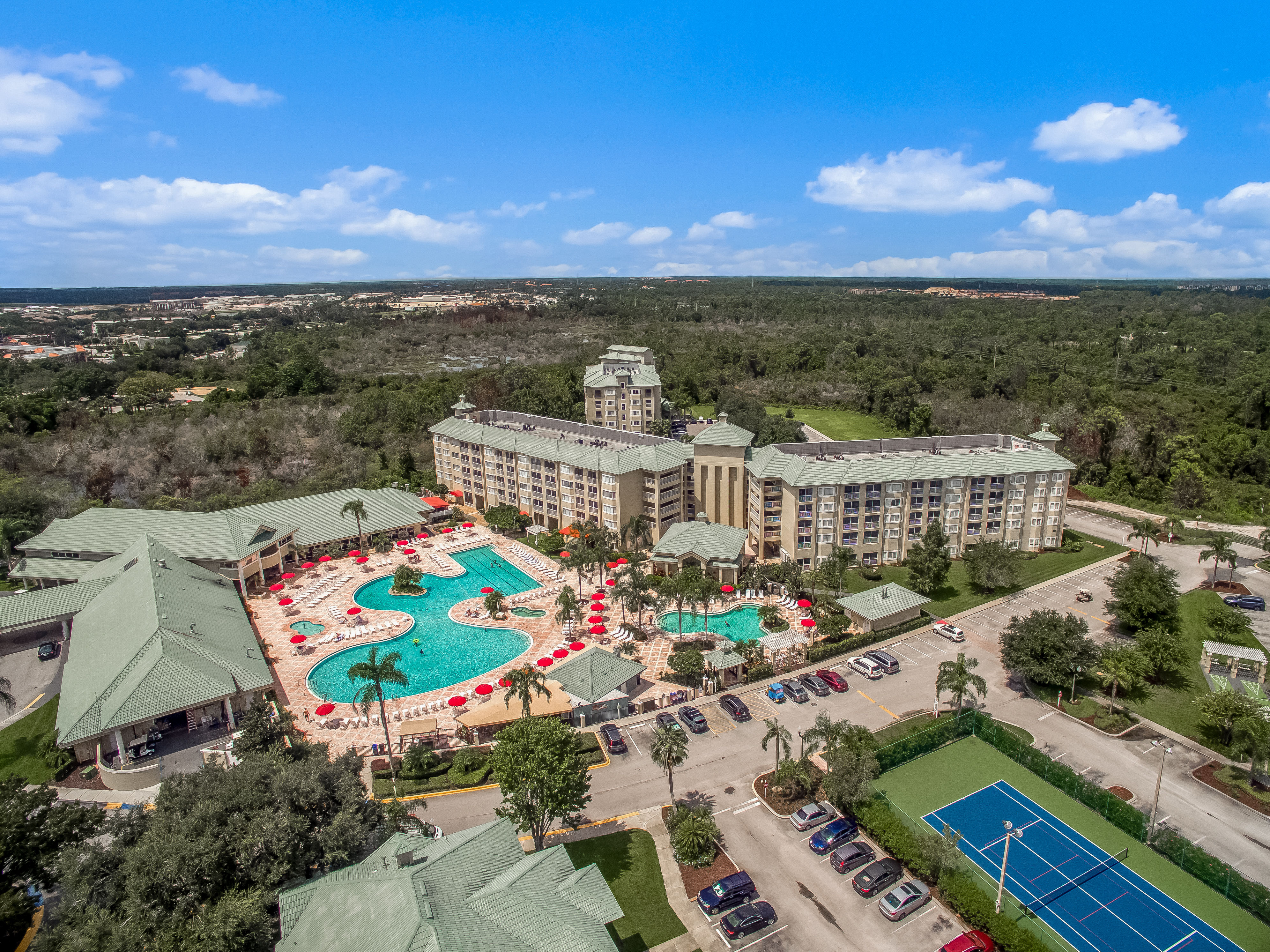 image Aerial view of a vibrant pool area with lounge chairs and palm trees in a resort-style setting.