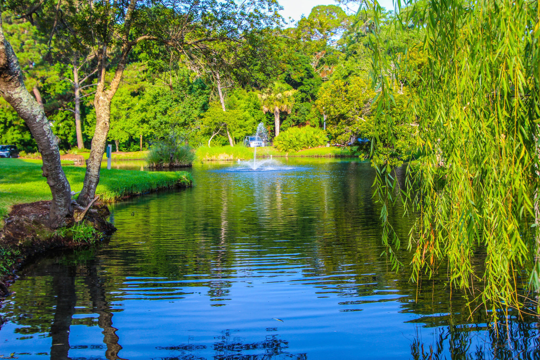 image Relax by the serene pond and let nature soothe your soul at this Hilton Head retreat.