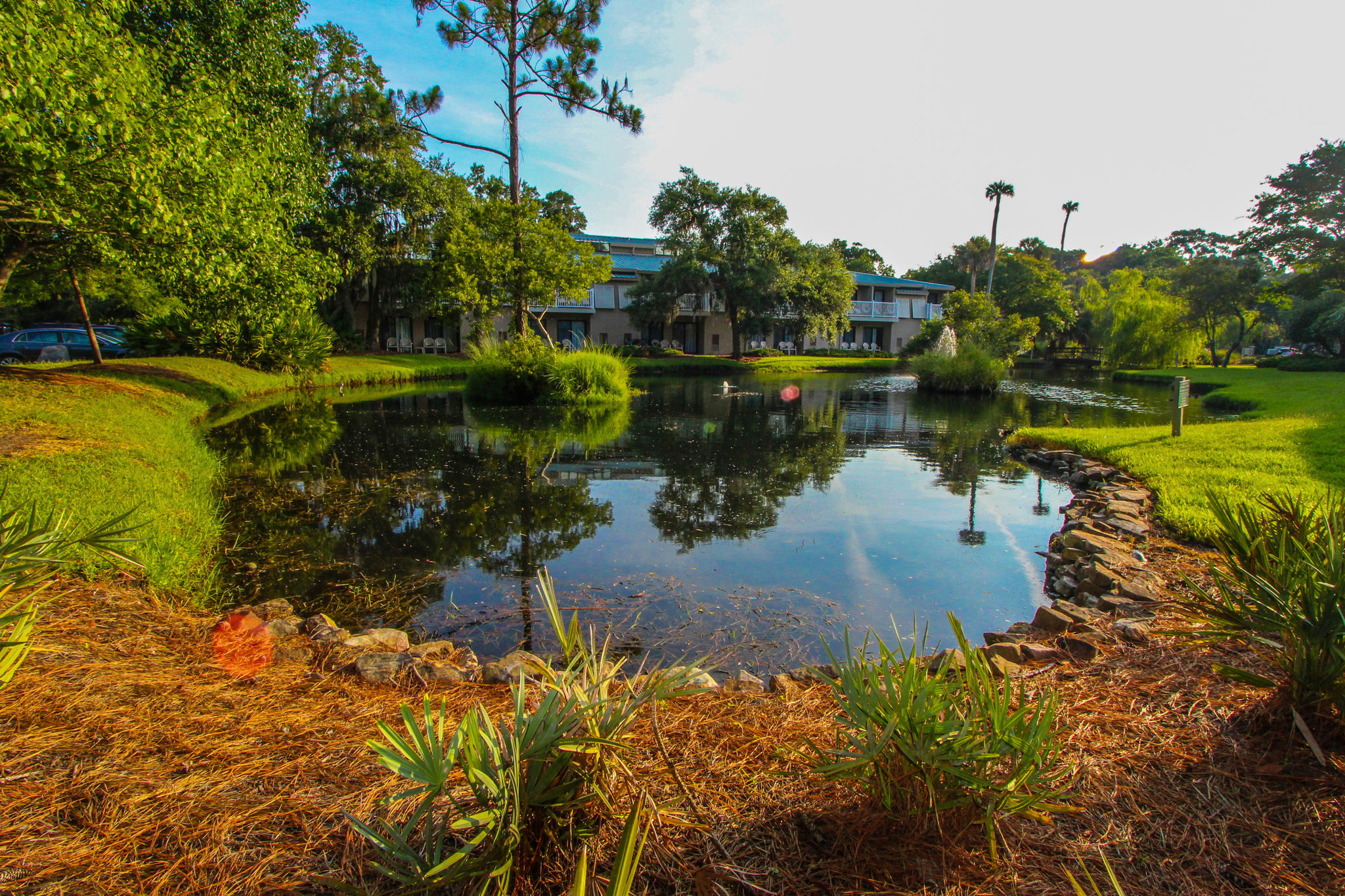 image Unwind by the tranquil pond surrounded by lush island greenery.