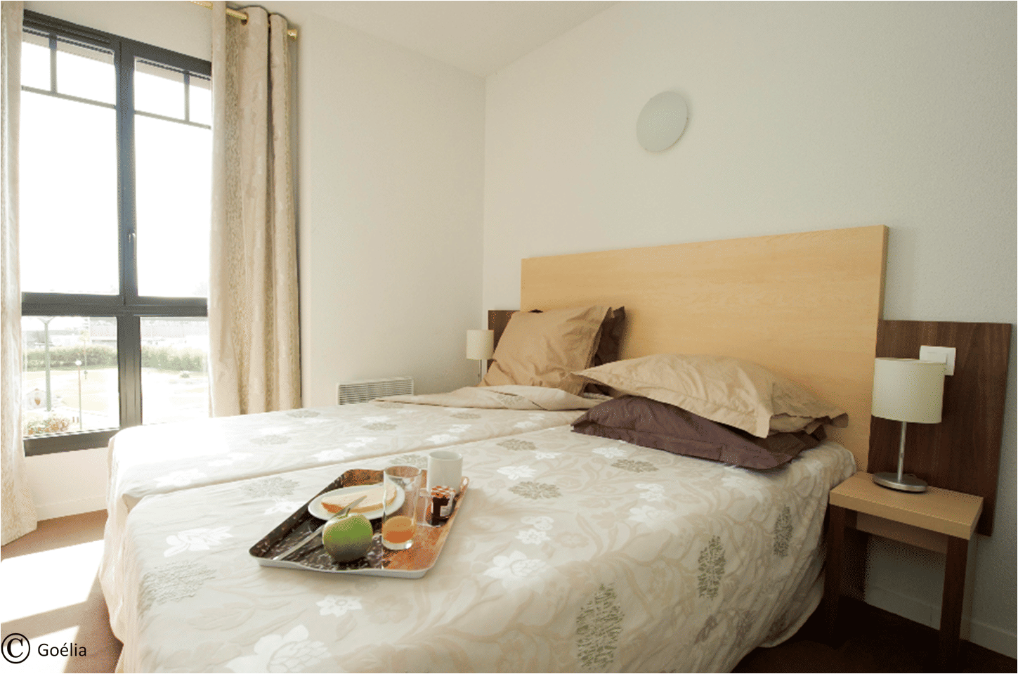 image Floor plan of the 55 m² apartment — two bedrooms, living area with sofa bed, and separate kitchen