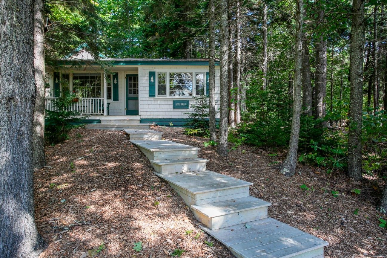 image Tucked beneath a canopy of evergreens, this quiet path leads to a woodland retreat made for unwinding in nature's rhythm.