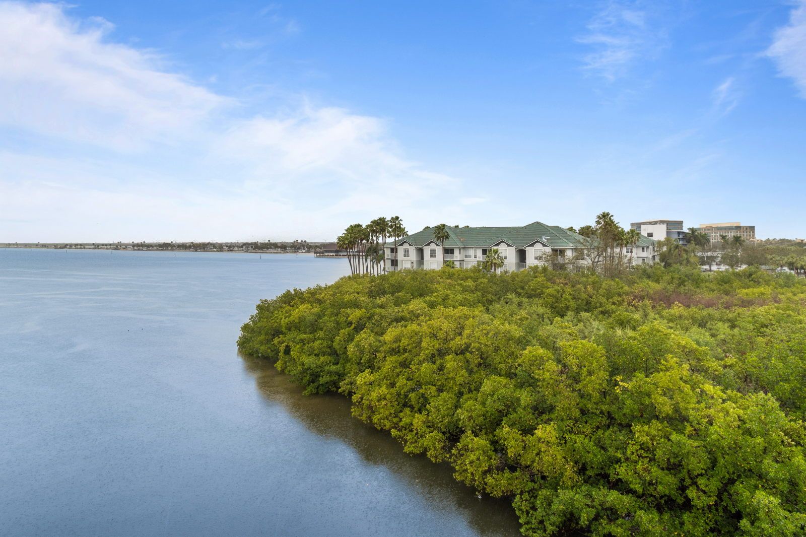 image Embrace nature from your balcony, nestled beside lush mangroves and sparkling waters.