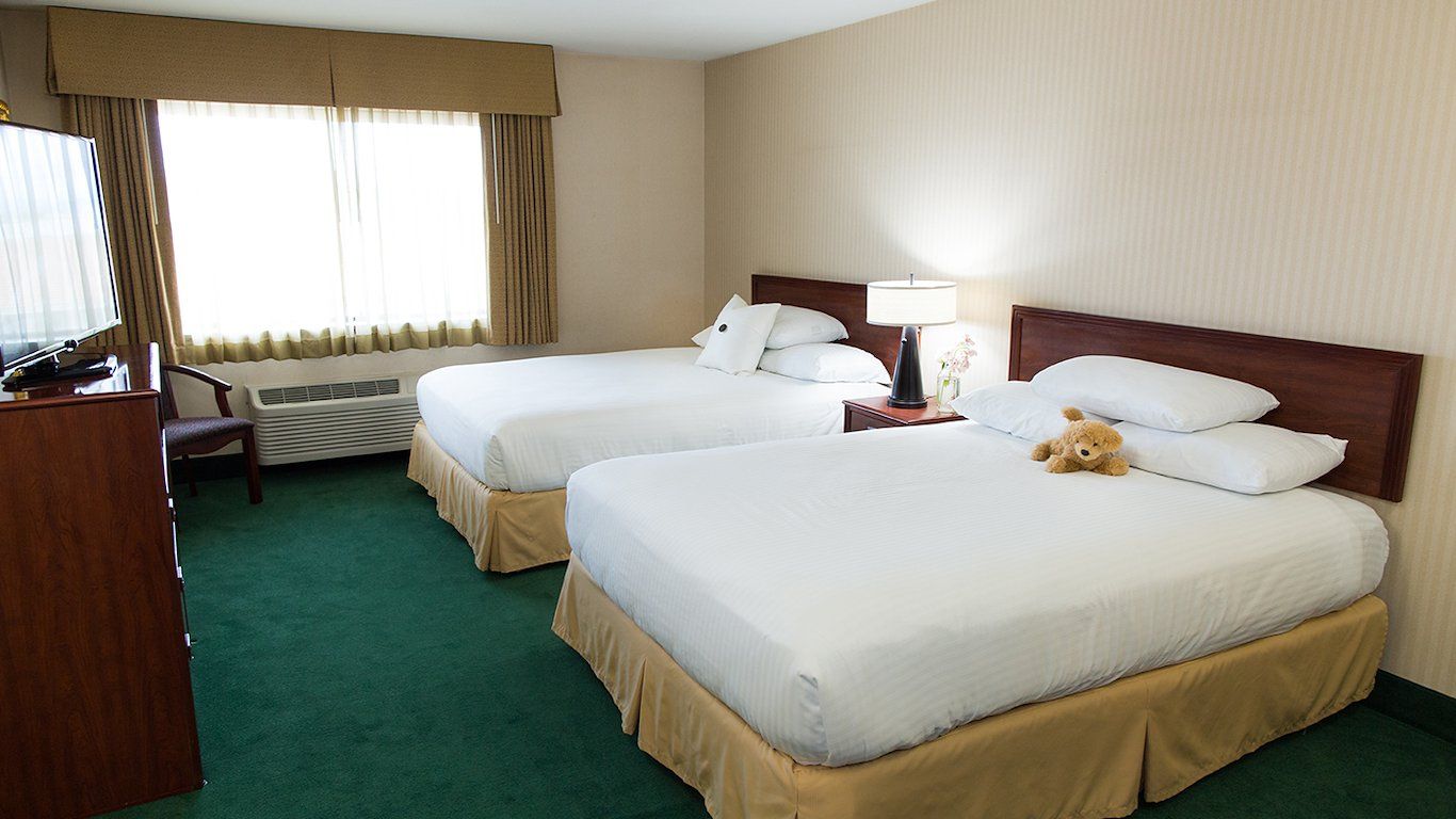 image Two queen beds with a bright window view - bring your pup and settle right in.