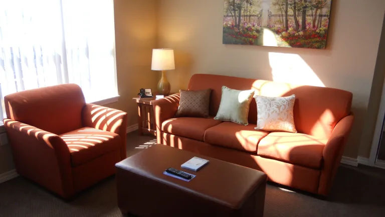 image Cozy living area with a sofa, armchair, and bright window light.