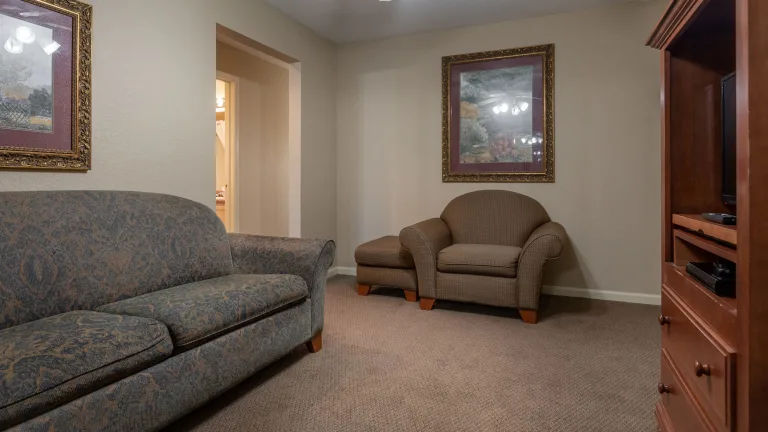 image Bright living area with sofa, armchair, and natural light.